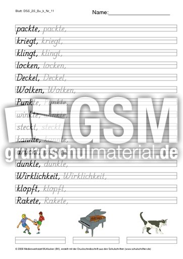 DSS_2S_Bu_k_Nr_11.pdf